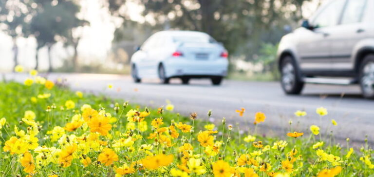 5 Safety Tips To Follow When Driving In Spring
